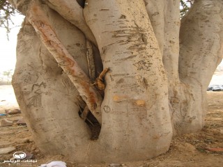 image name