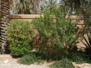 image name
