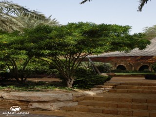 image name