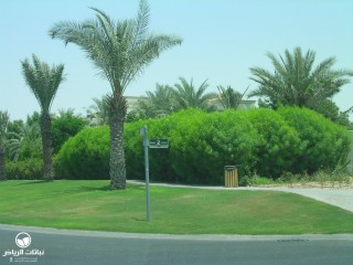 image name