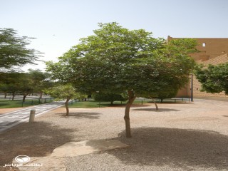 image name