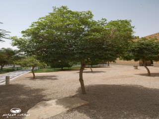 image name