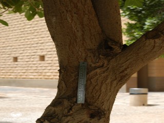 image name