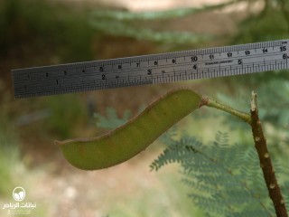 image name