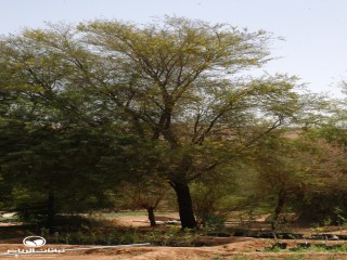 image name
