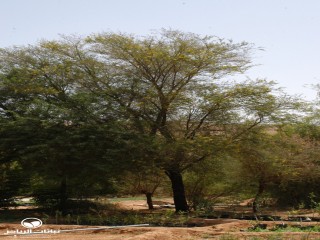 image name