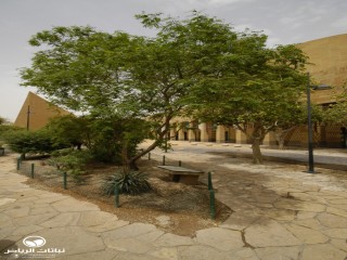 image name