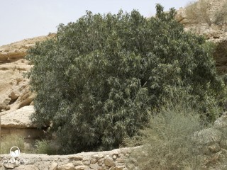 image name
