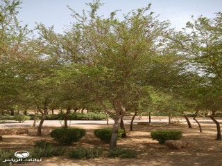image name