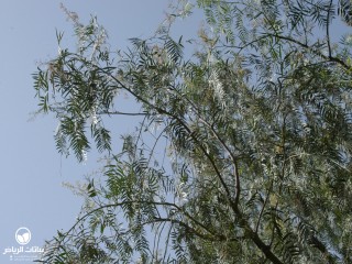 image name