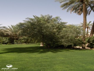 image name