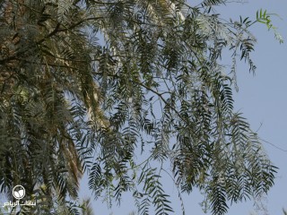 image name