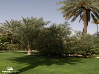 image name