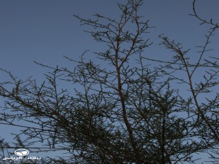 image name