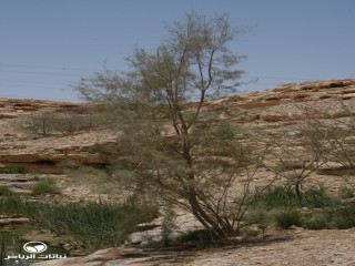 image name