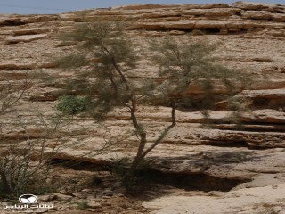 image name