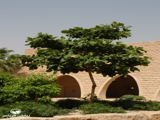 image name