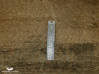 image name