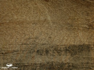 image name