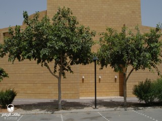 image name