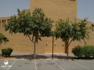 image name