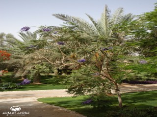 image name