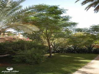 image name