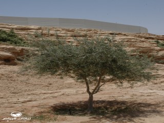 image name