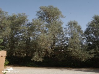 image name