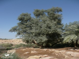 image name