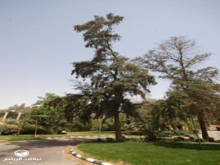 image name