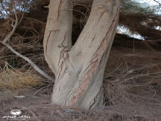 image name