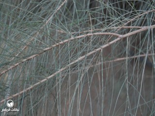image name