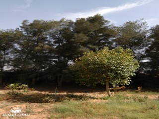 image name