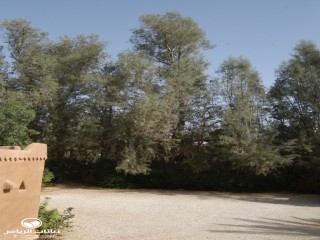 image name