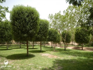 image name