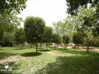 image name