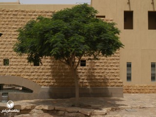image name