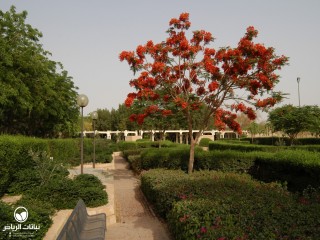 image name