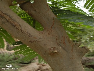 image name
