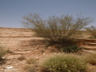 image name