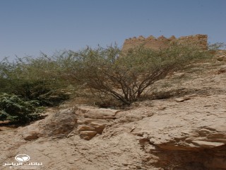 image name