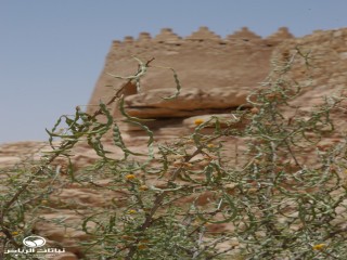 image name