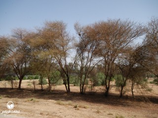 image name