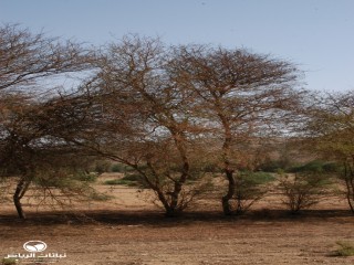 image name