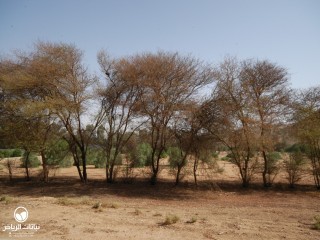 image name