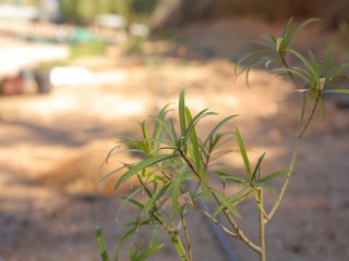 HADY3028.JPG